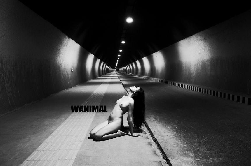 WANIMALٷƷ ͼ[72P] 7»Ա ʥ P.3