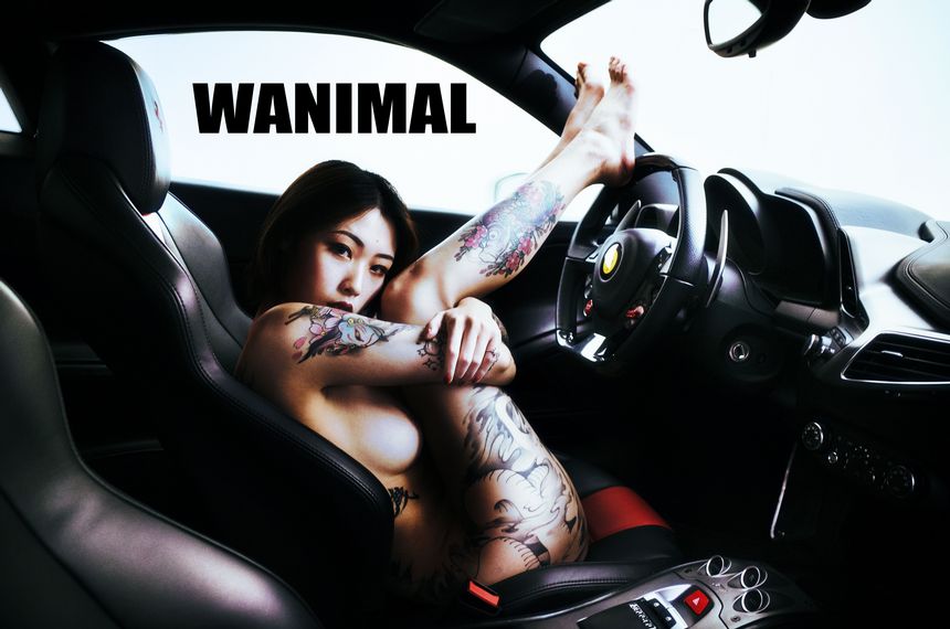 WANIMALٷƷ Ů ڵ ߶ () ͼ [75P] P.4