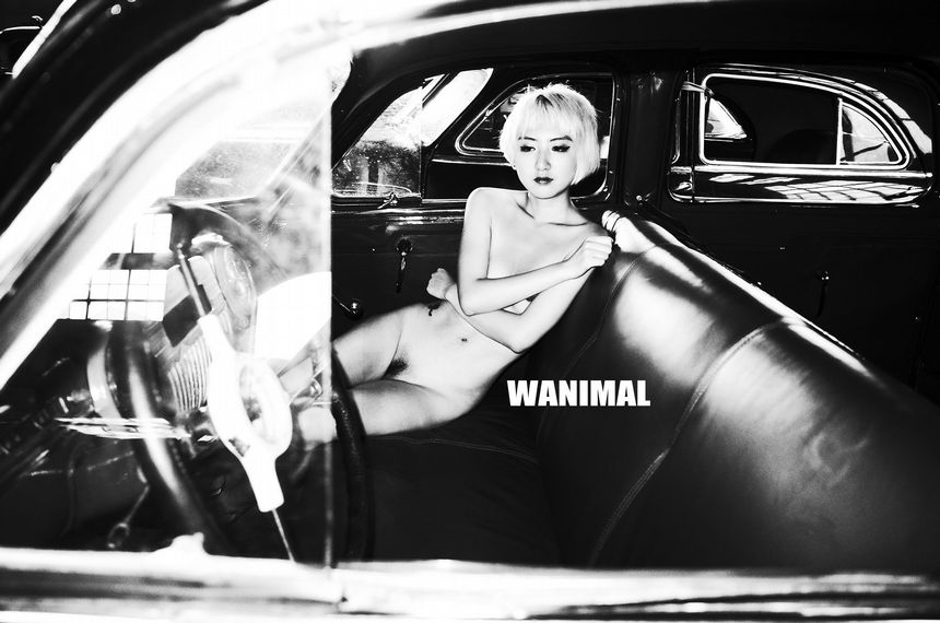 WANIMALٷ ʥ () [63P] 20197 ͼ P.1 