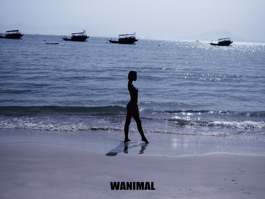 WANIMALٷ ʥ () [63P] 20197 ͼ P.1 