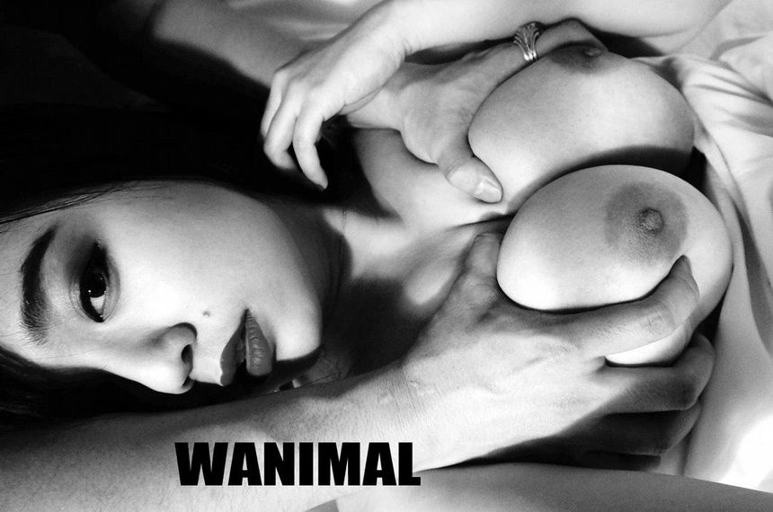 ڹ WANIMALٷƷ ͼ[47P] 20193 P.5