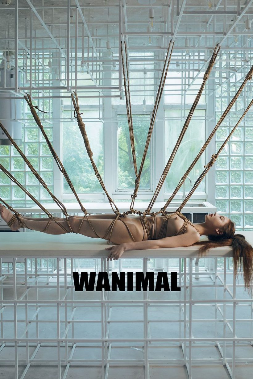 (ʮ) [112P] WANIMALƷ ʥ ͼ P.1 