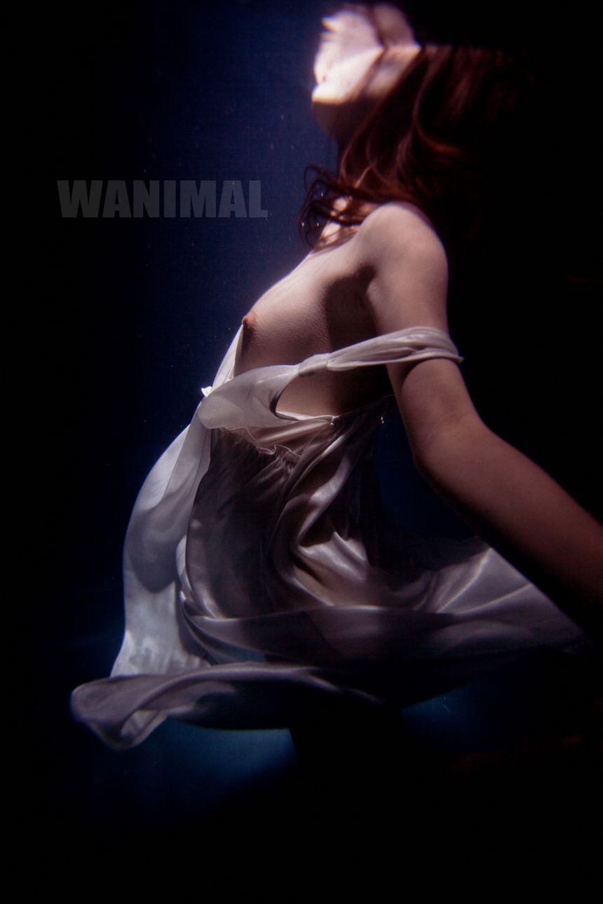 WANIMALƷ ͼ (ʮ) [100P] ڹ P.6