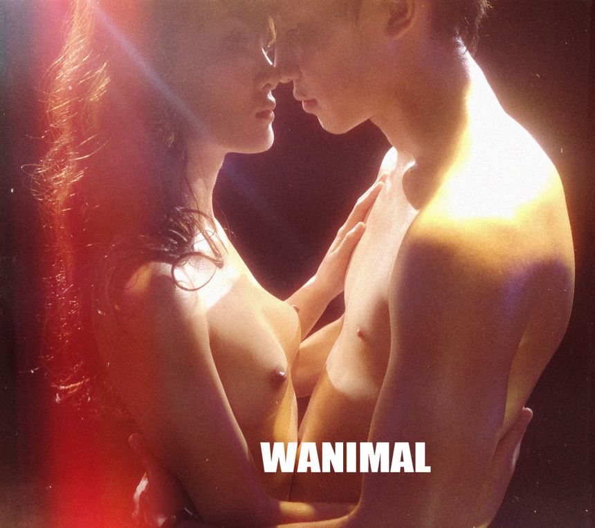 ʥ () [71P] WANIMALƷ ͼ P.4