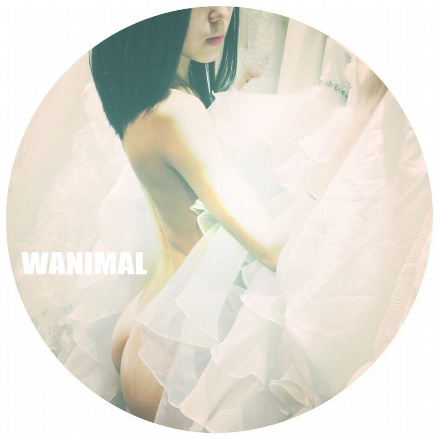 ʥ () [71P] WANIMALƷ ͼ P.4