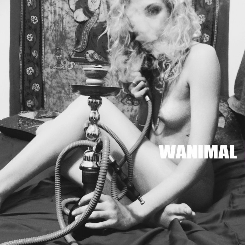 WANIMALƷ (ʮ) ڵ [67P] ͼ P.1 